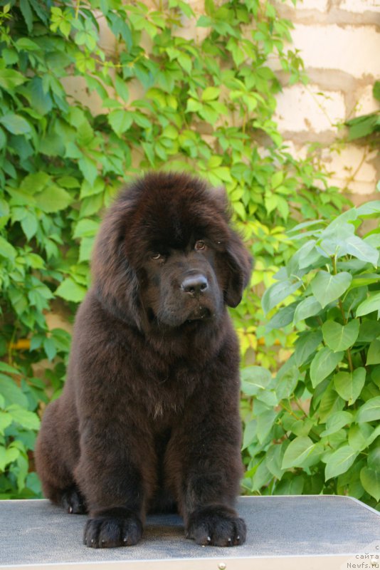 Фотография № 210883