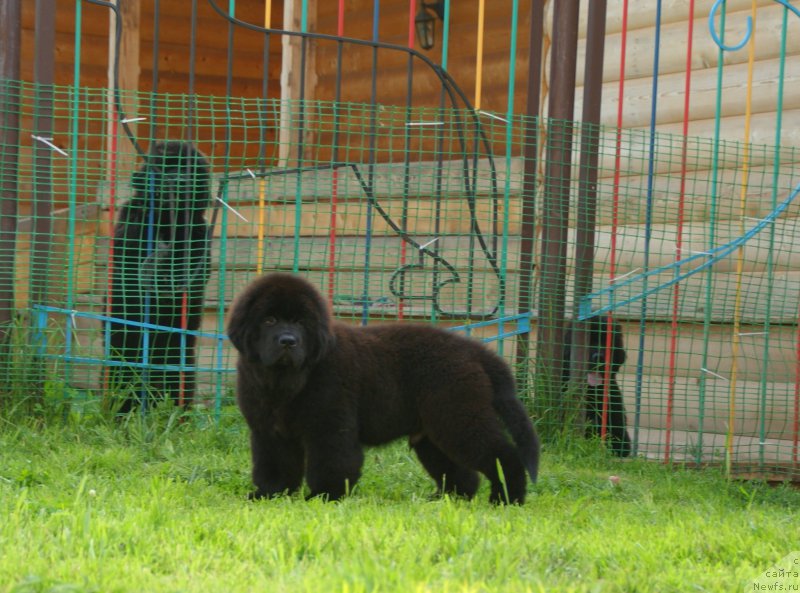 Фотография № 210885