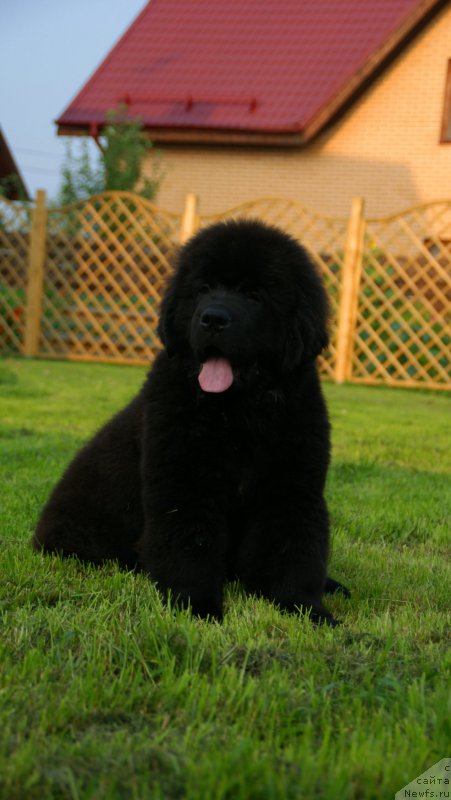 Фотография № 210887