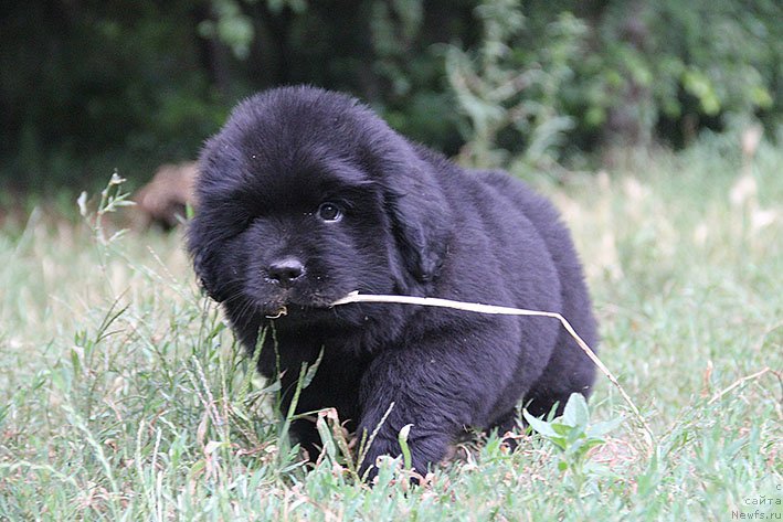 Фотография № 210888