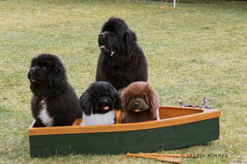 Фото: [d16120]и Beacon's Aunt Sookie