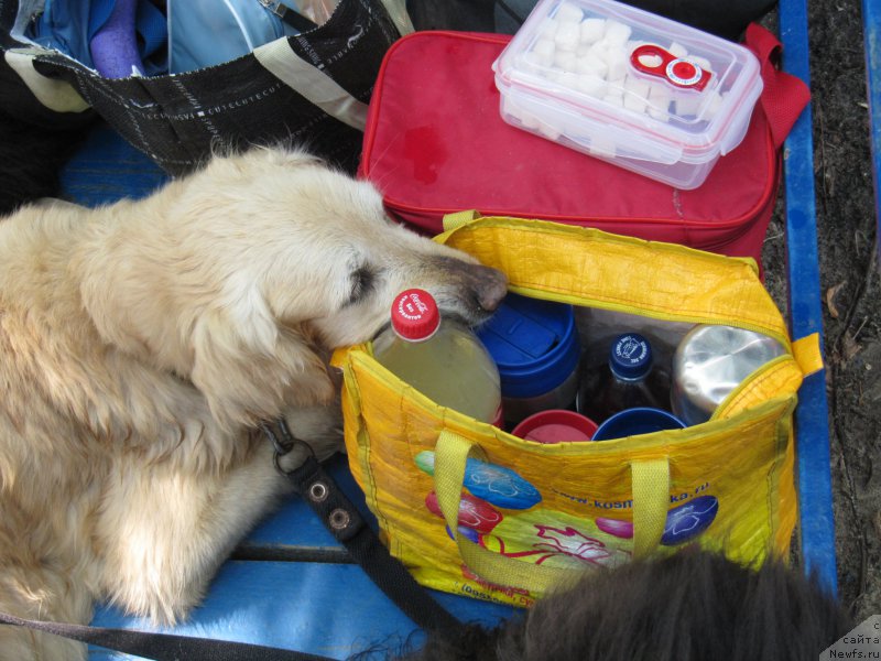 Фотография № 210907