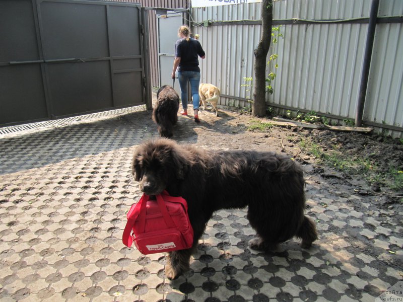 Фотография № 210911