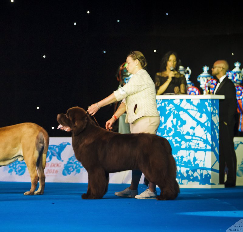 Фотография № 210931