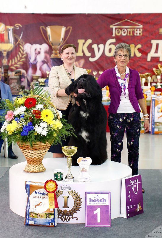 Фотография № 210933