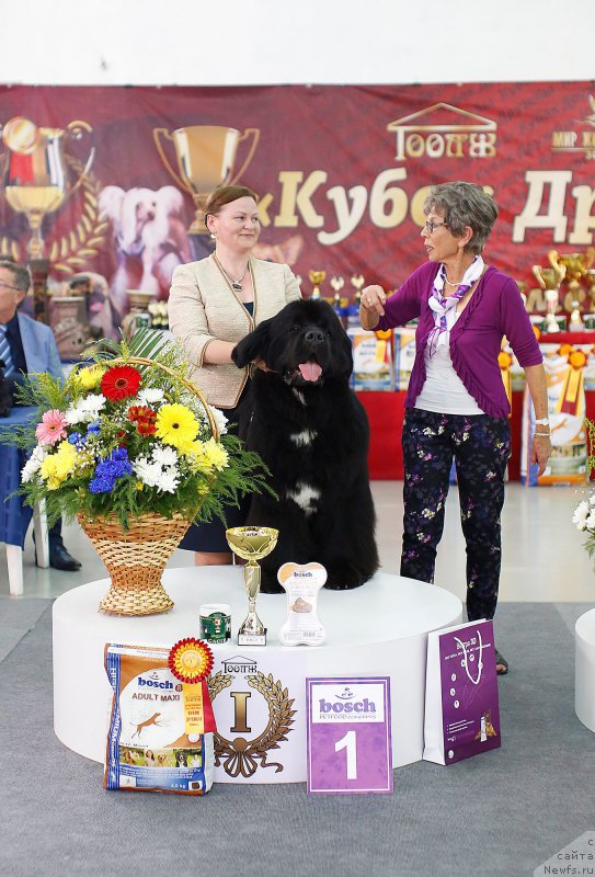 Фотография № 210934