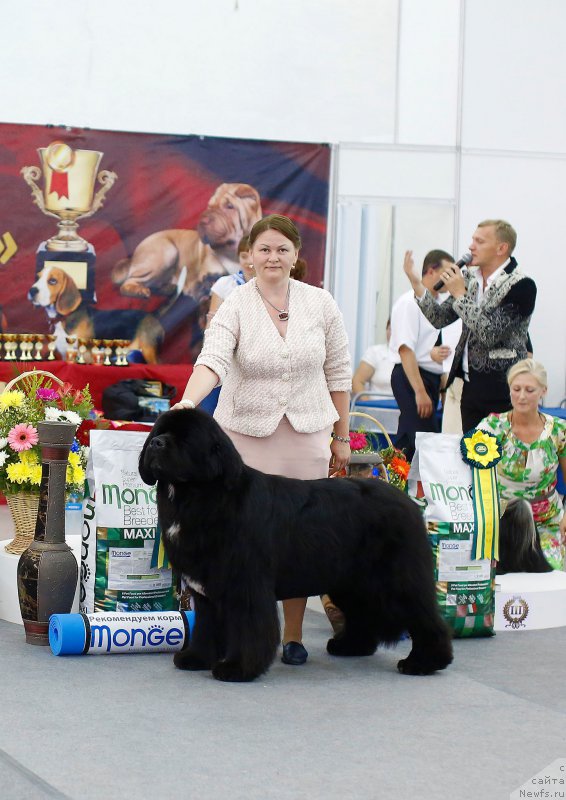 Фотография № 210935