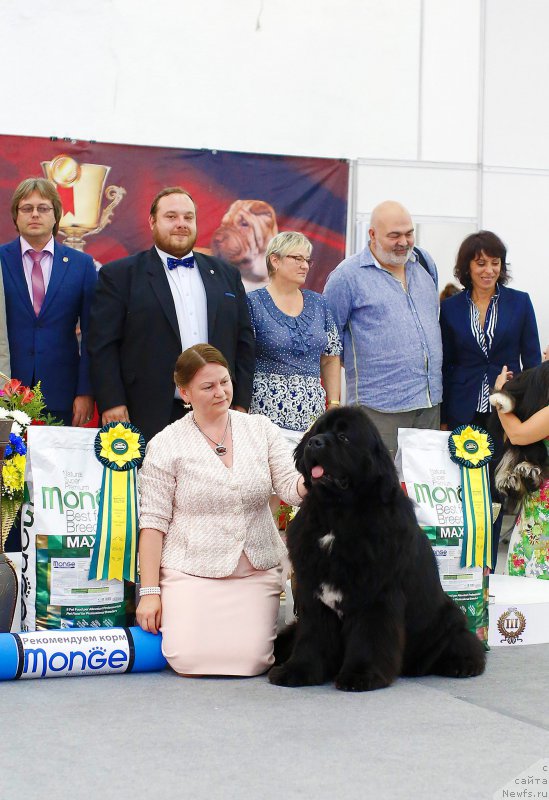 Фотография № 210936