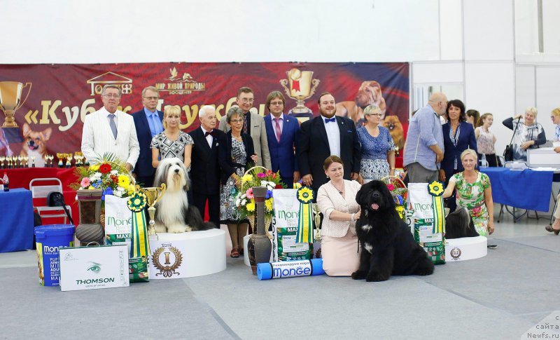 Фотография № 210937