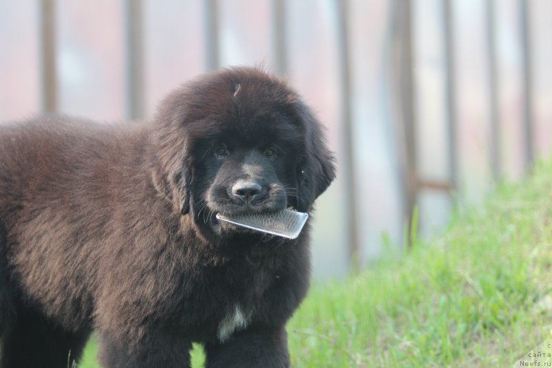 Фотография № 210939