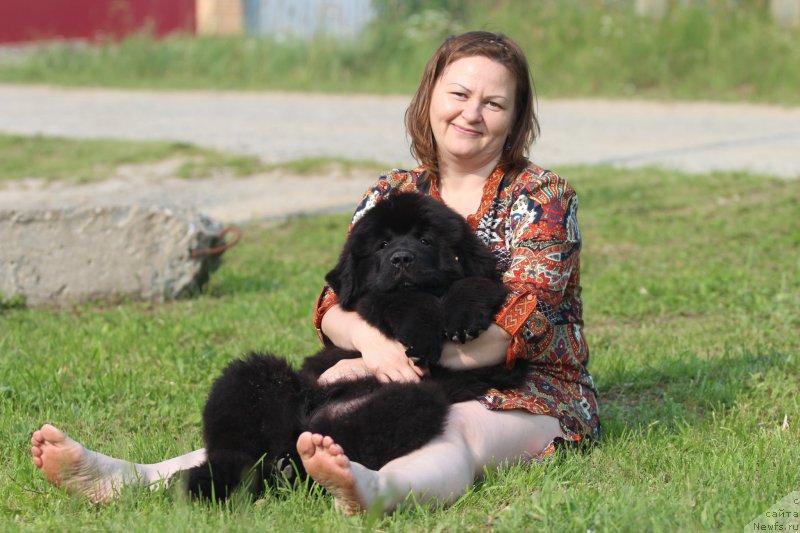 Фотография № 210942