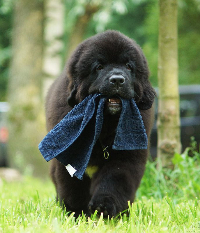 Фотография № 210959