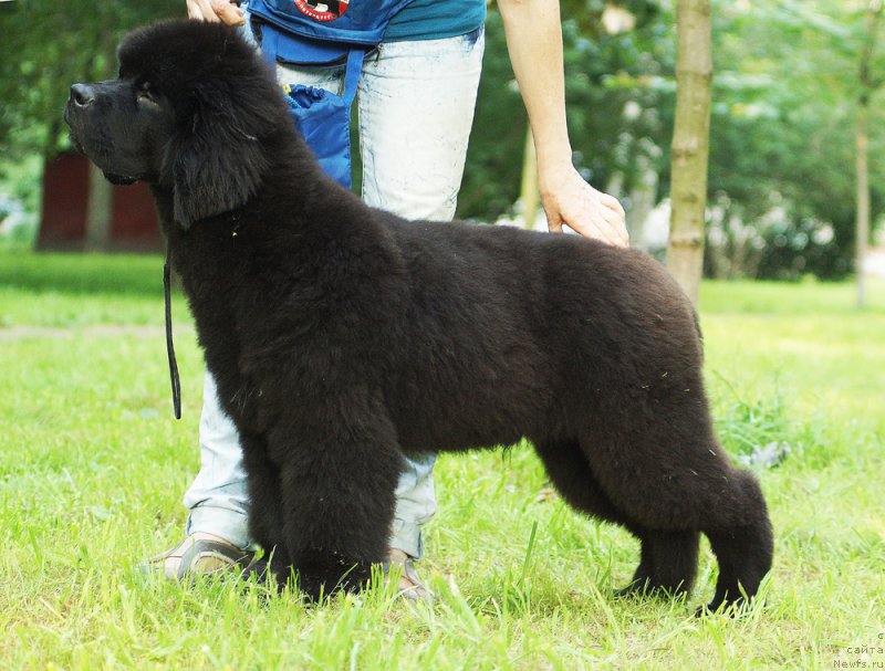 Фотография № 210960