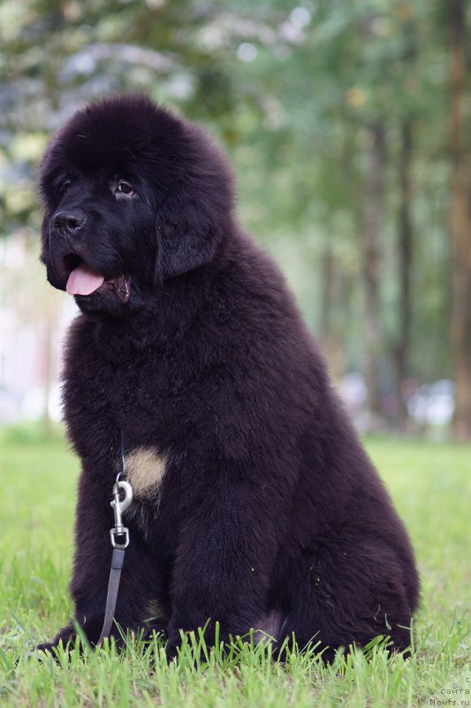 Фотография № 210962