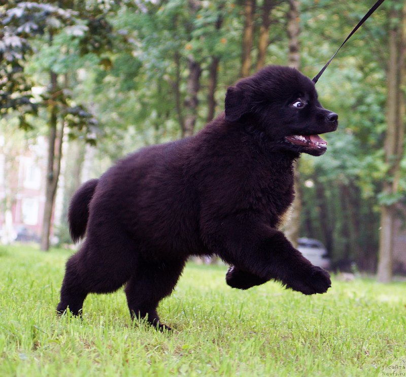 Фотография № 210963