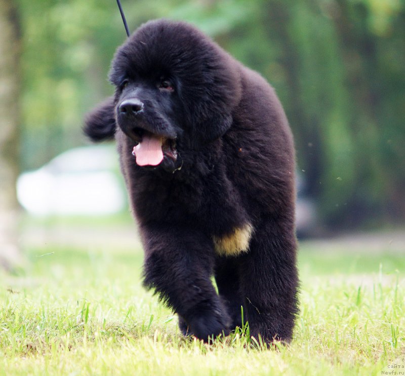 Фотография № 210964