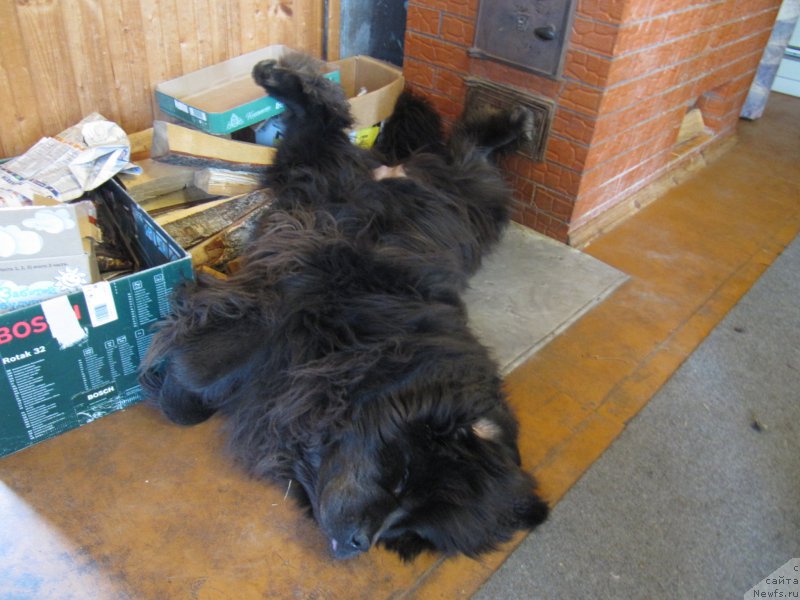 Фотография № 210987