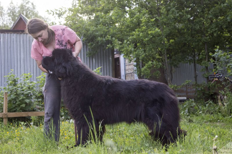 Фотография № 210989