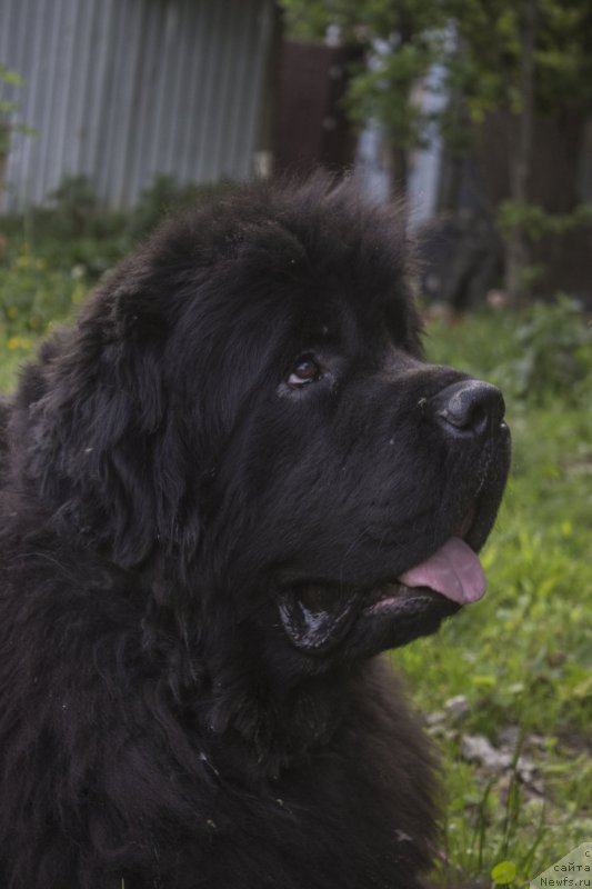 Фотография № 210990