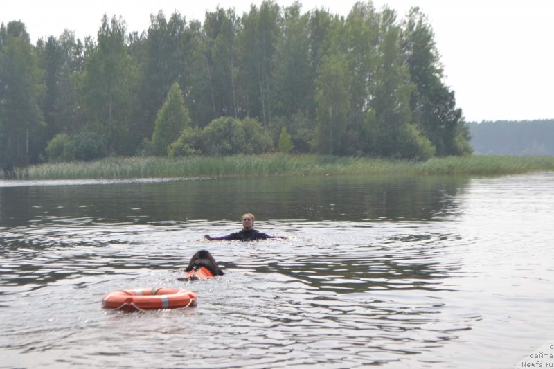 Фотография № 211009