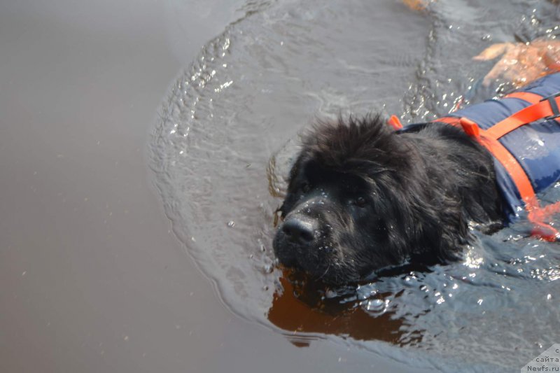 Фотография № 211014