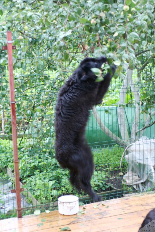 Фотография № 211036