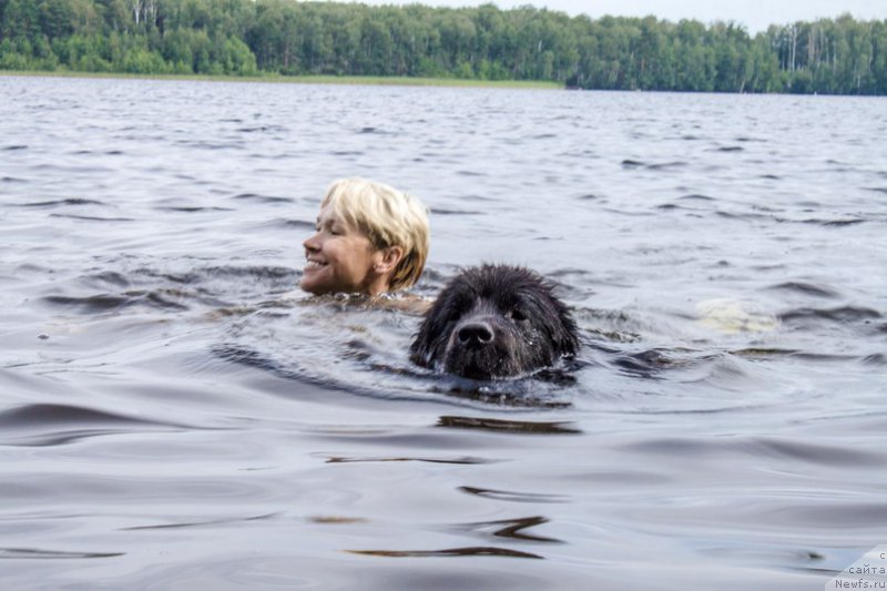 Фотография № 211046