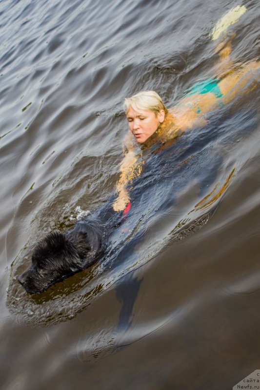 Фотография № 211048