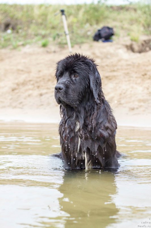 Фотография № 211050