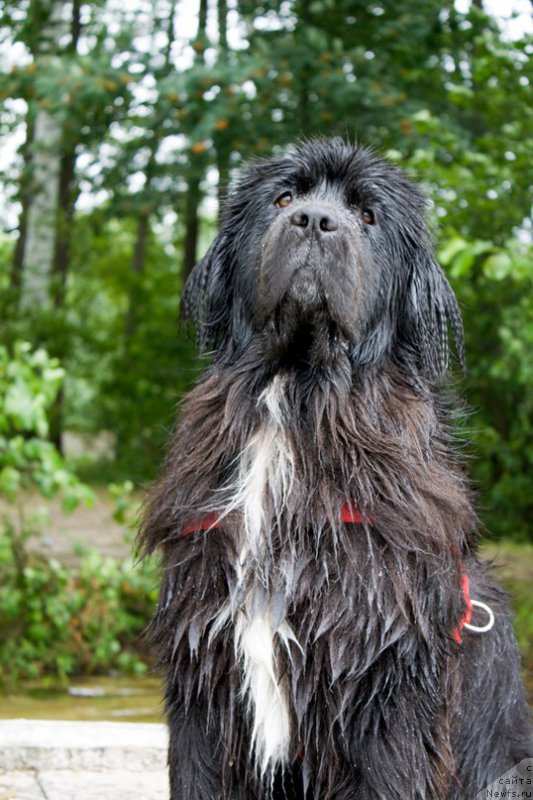 Фотография № 211054