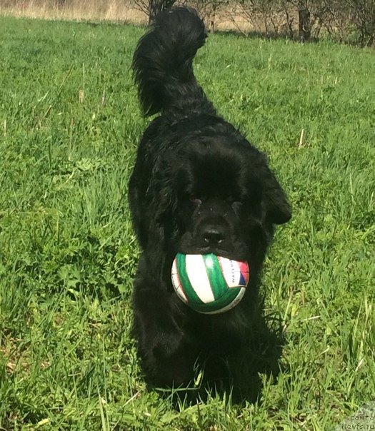 Фотография № 211055