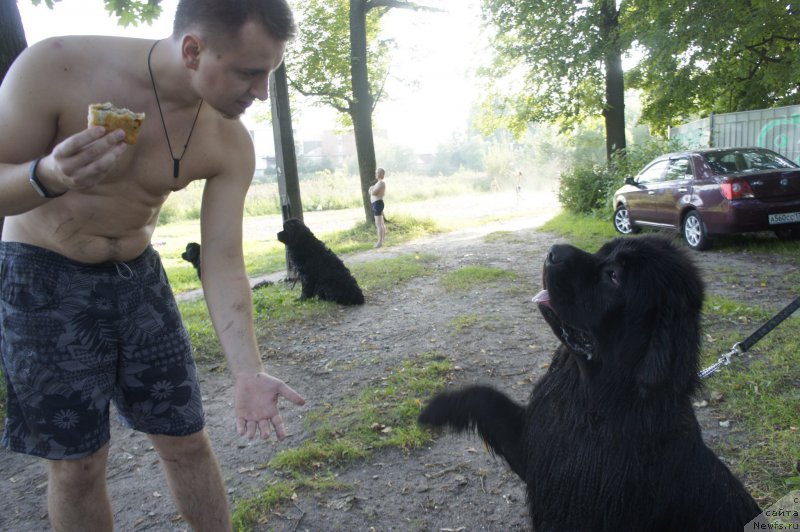 Фотография № 211069