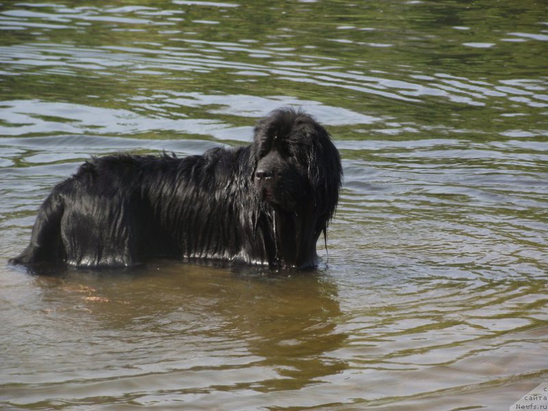 Фотография № 211076