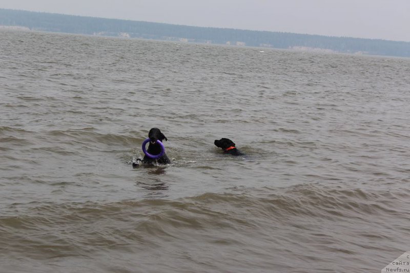 Фотография № 211092