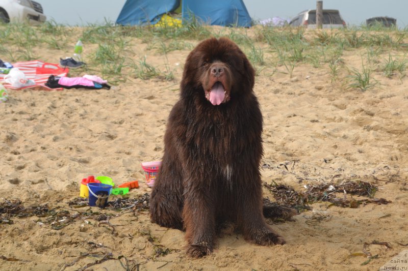 Фотография № 211107