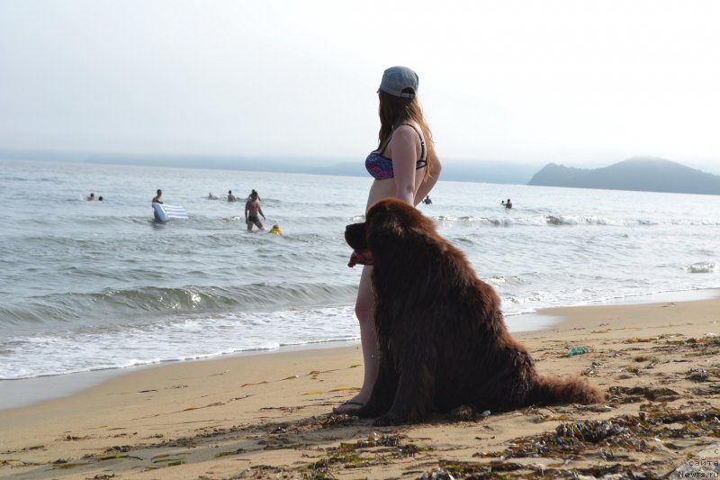 Фотография № 211108