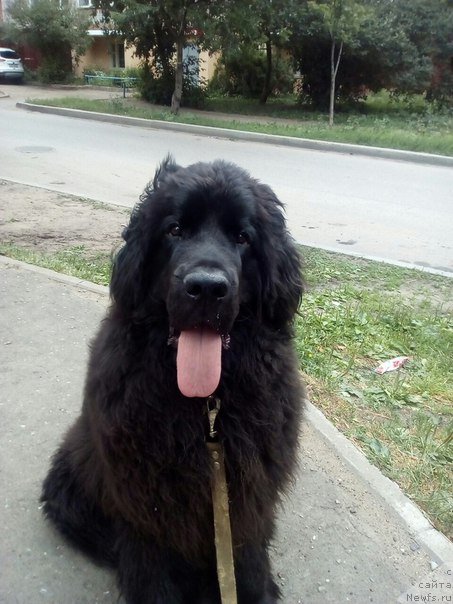 Фотография № 211122