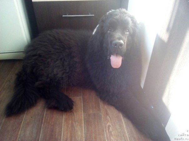 Фотография № 211123