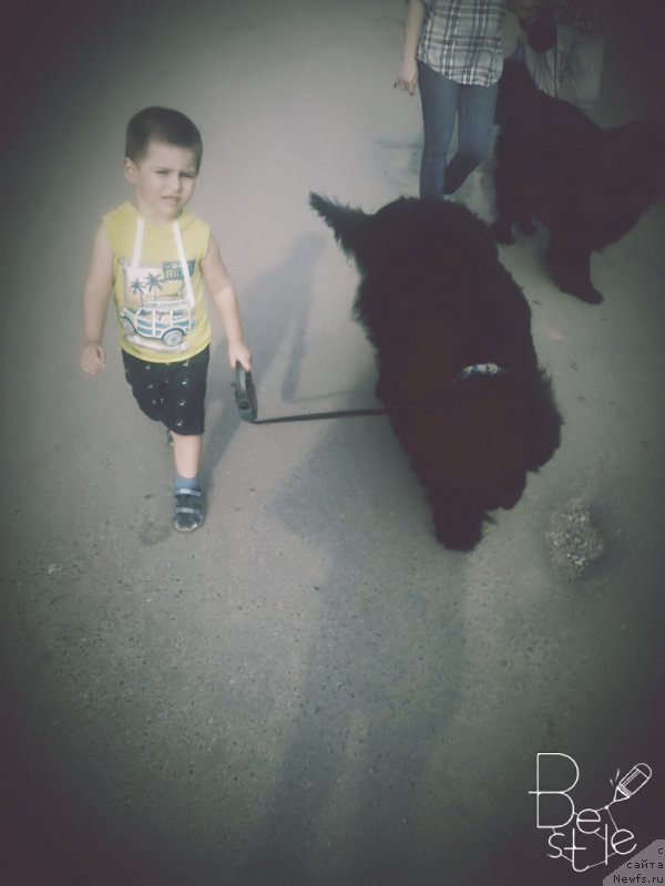 Фотография № 211139