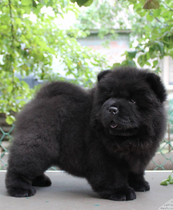 Фотография № 211144