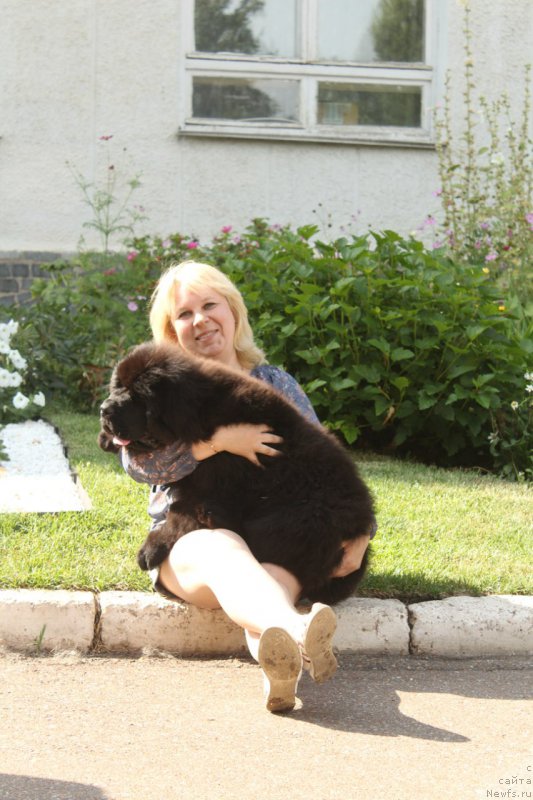 Фотография № 211146