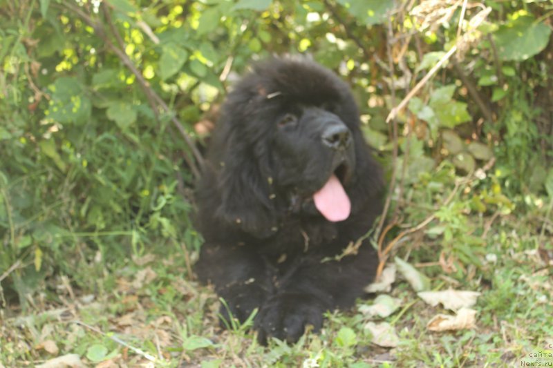 Фотография № 211149