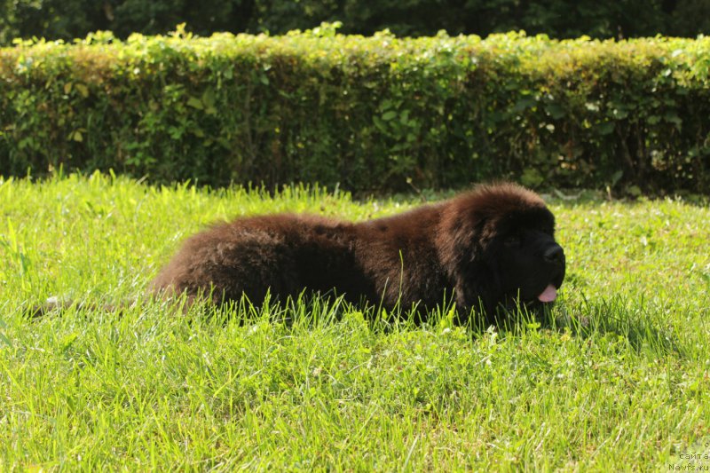 Фотография № 211150