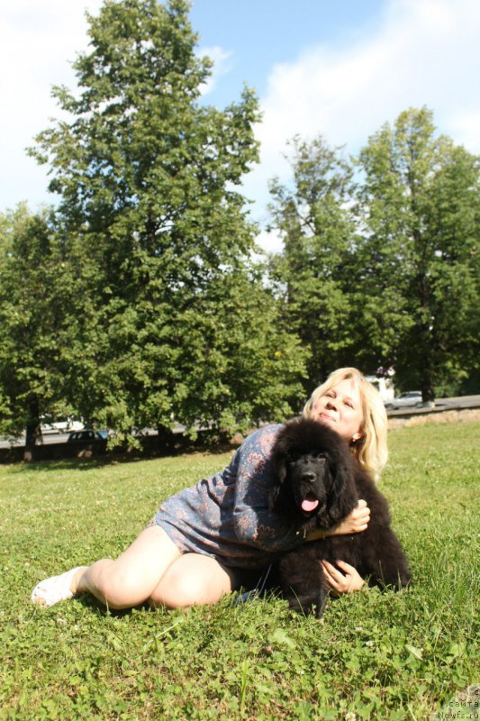 Фотография № 211152