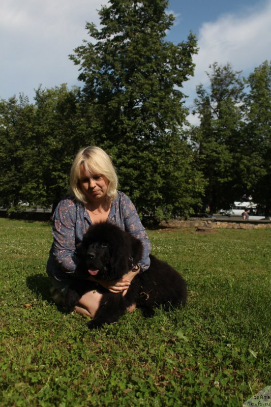 Фотография № 211153