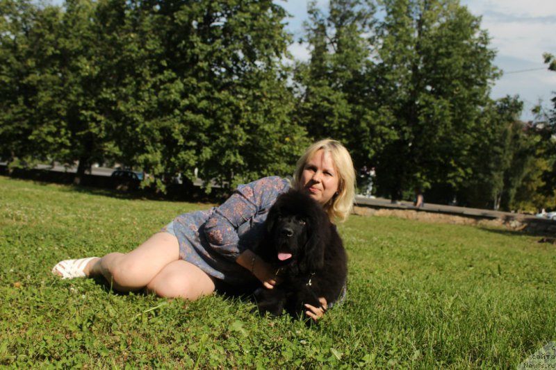 Фотография № 211154