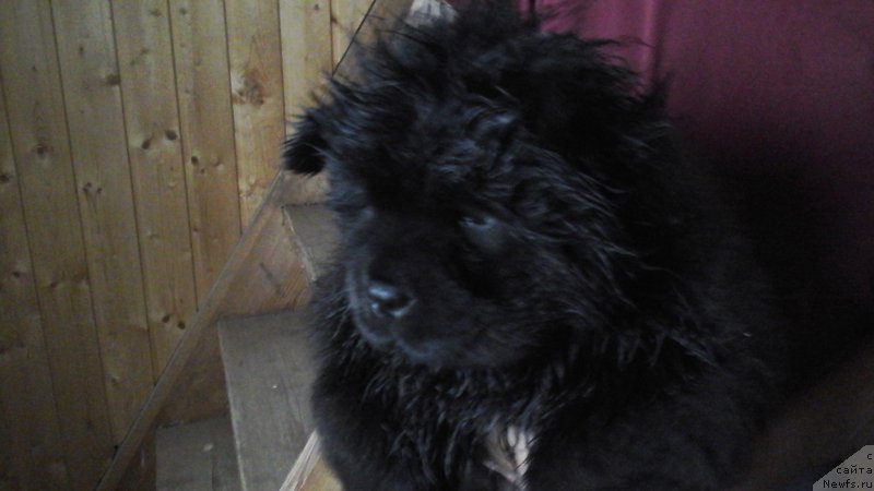 Фотография № 211159