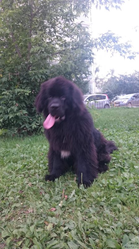 Фотография № 211163