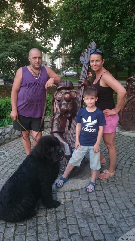 Фотография № 211164