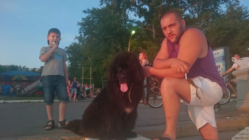 Фотография № 211165